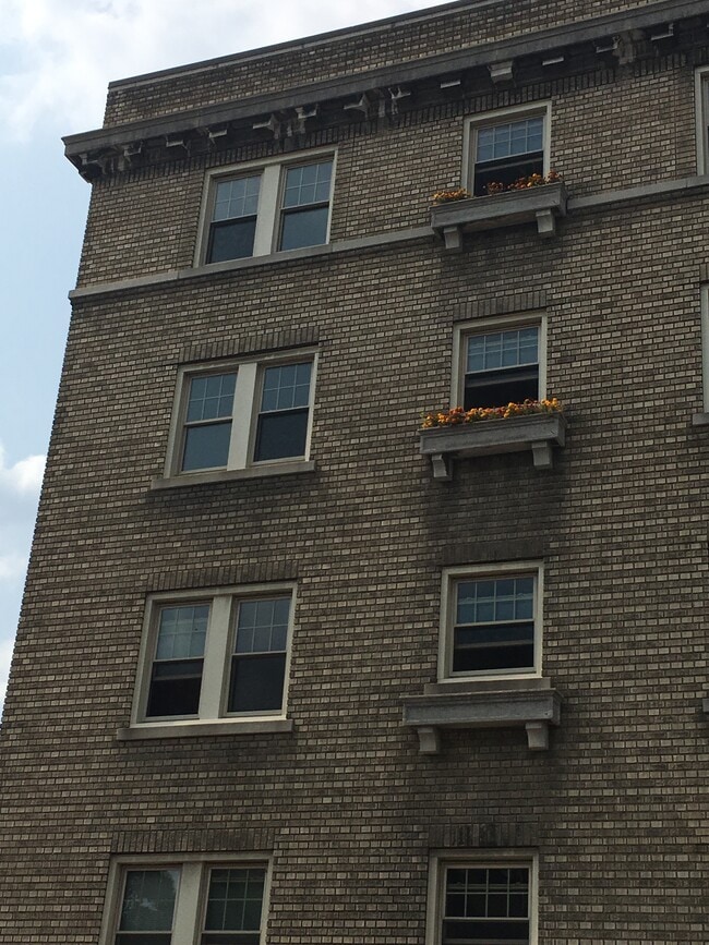 Building Photo - 185 Alexander St