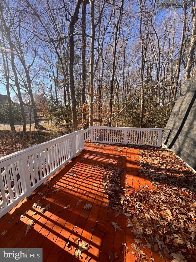 31598 Miller Rd 31598 Miller Rd Cordova MD 21625 Apartment Finder