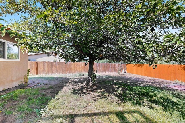 Building Photo - 2702 Avenida Del Sol