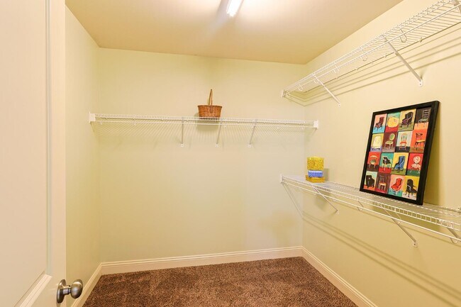 Building Photo - 1628 Mount Rainer Dr