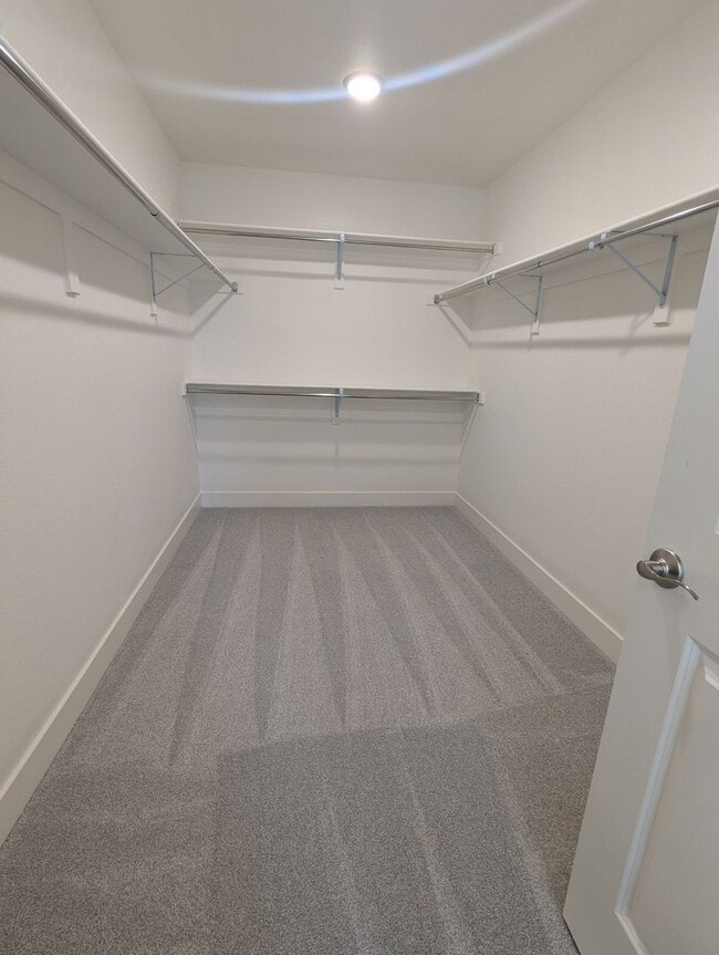 Building Photo - BRAND NEW HOME FOR RENT IN TIMNATH TRAILSI...