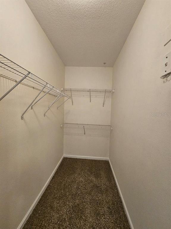 Building Photo - 4207 S Dale Mabry Hwy