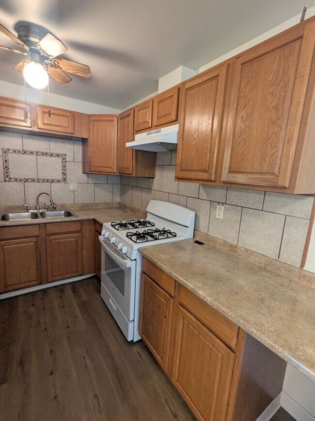 Building Photo - 4 Bedroom 2 Bathroom Single Story Home in Spring Valley