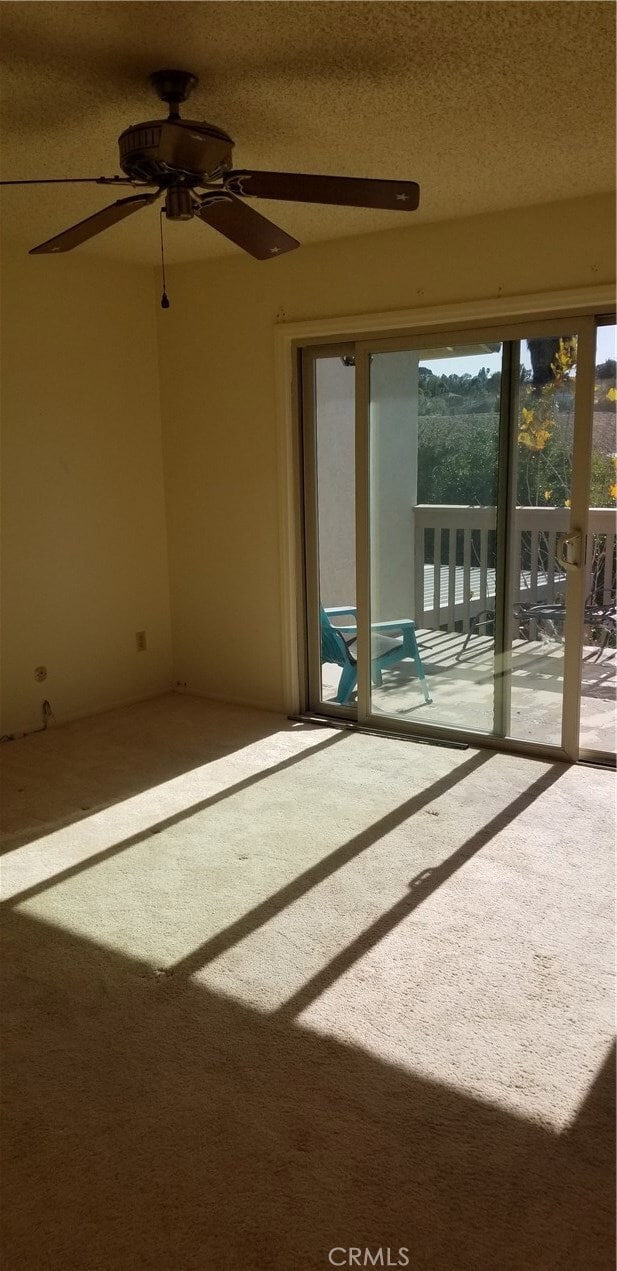 Building Photo - 2638 Mangrove Way