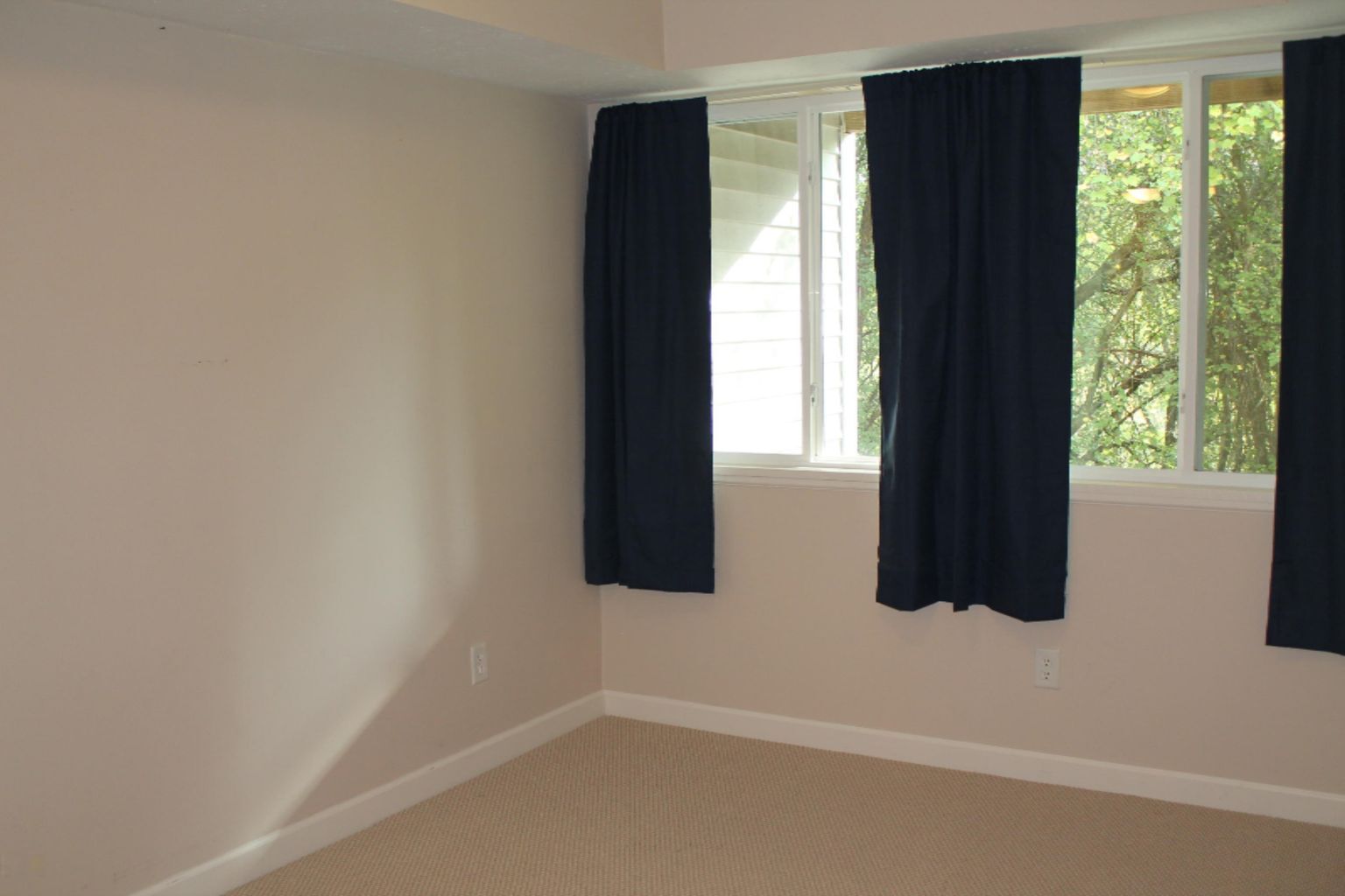 lower level bedroom - 862 Pinnacle Run Dr SE