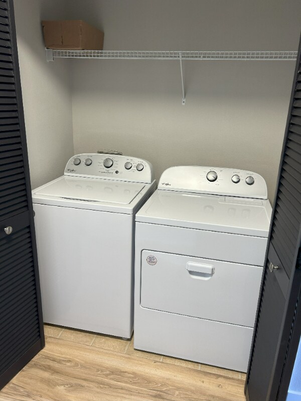 Building Photo - 217 Michelangelo Pl