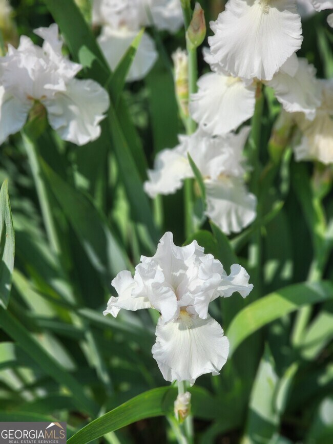 Building Photo - 180 Sycamore Bend