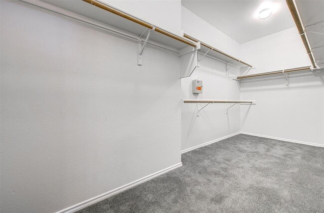 Building Photo - 11817 Watercrest Ct