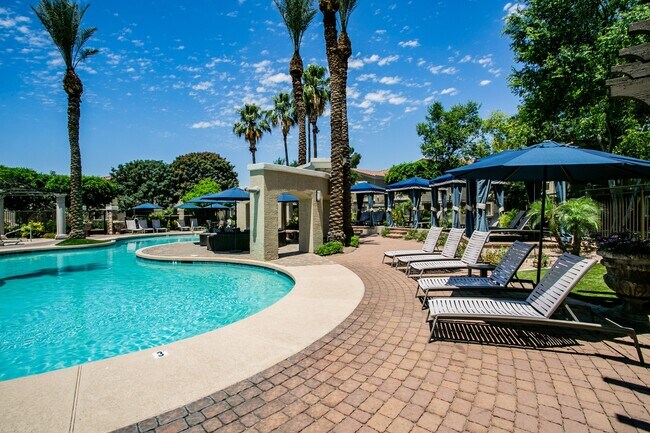 Sundeck with Lounge Chairs - Versante Apartment Homes