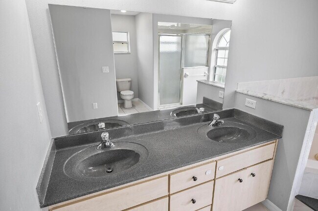 Building Photo - Palm Harbor Pool Home