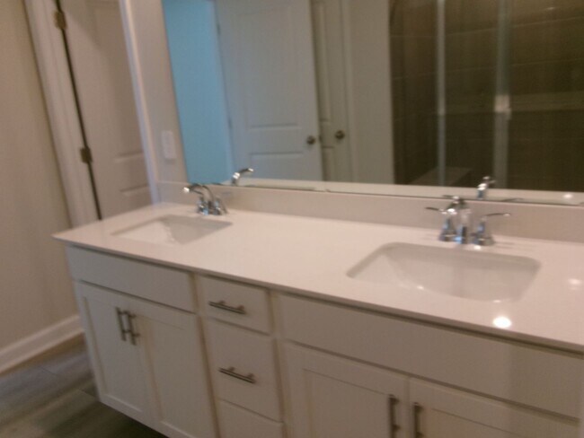 Building Photo - New 5 bedroom, 3 bath home in Clear Pond with pond view