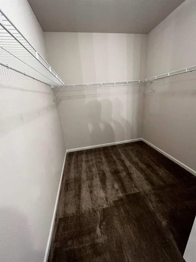 Building Photo - 711 Honeycomb Trl