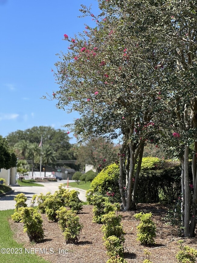 Building Photo - 3809 La Vista Cir