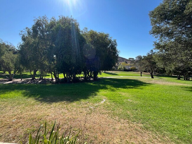 Building Photo - King Courts Condo! Backs to the Park! Bloc...