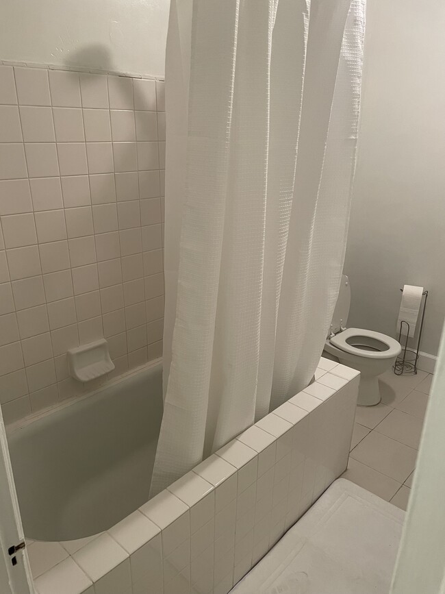 Bathtub/Shower - 2819 Griffith Park Blvd