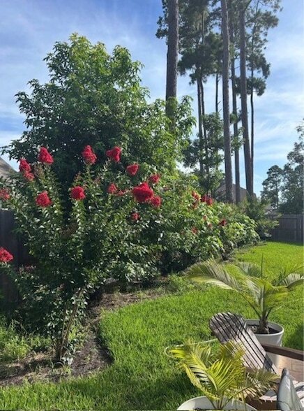 Building Photo - 322 Fanpalm Ct