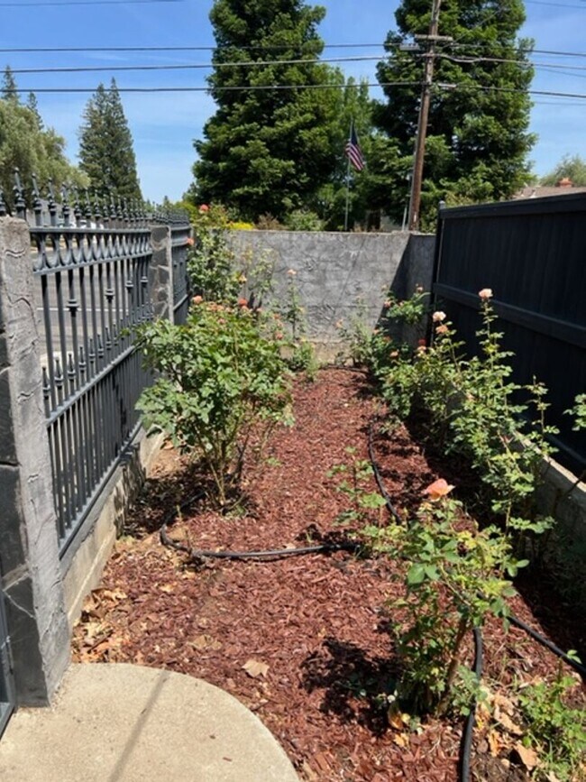 Building Photo - Beautiful Single Story home in Carmichael, 4+2, Large living area, 2 garages.