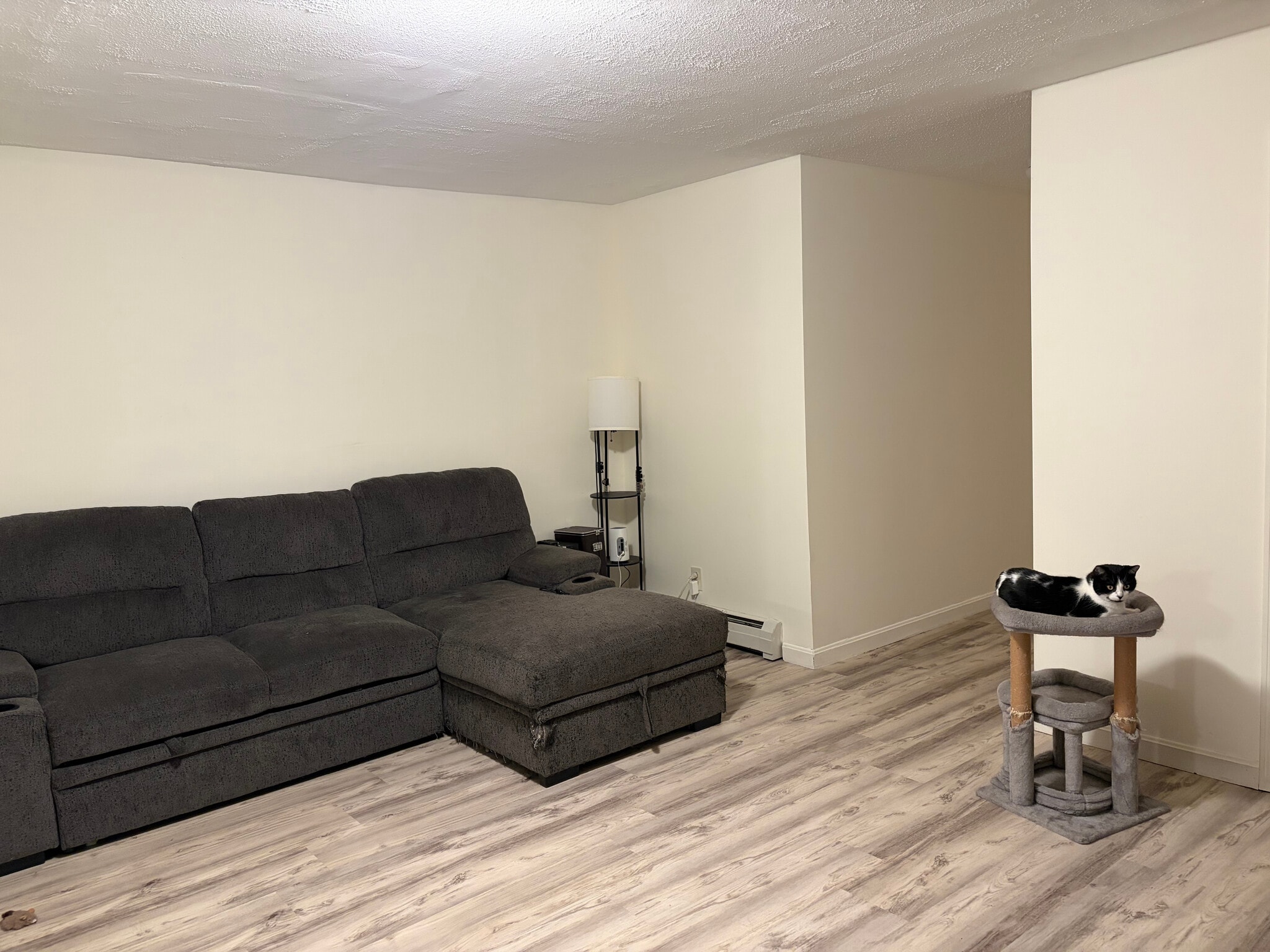 Living Room - 1374 Bucksport Rd