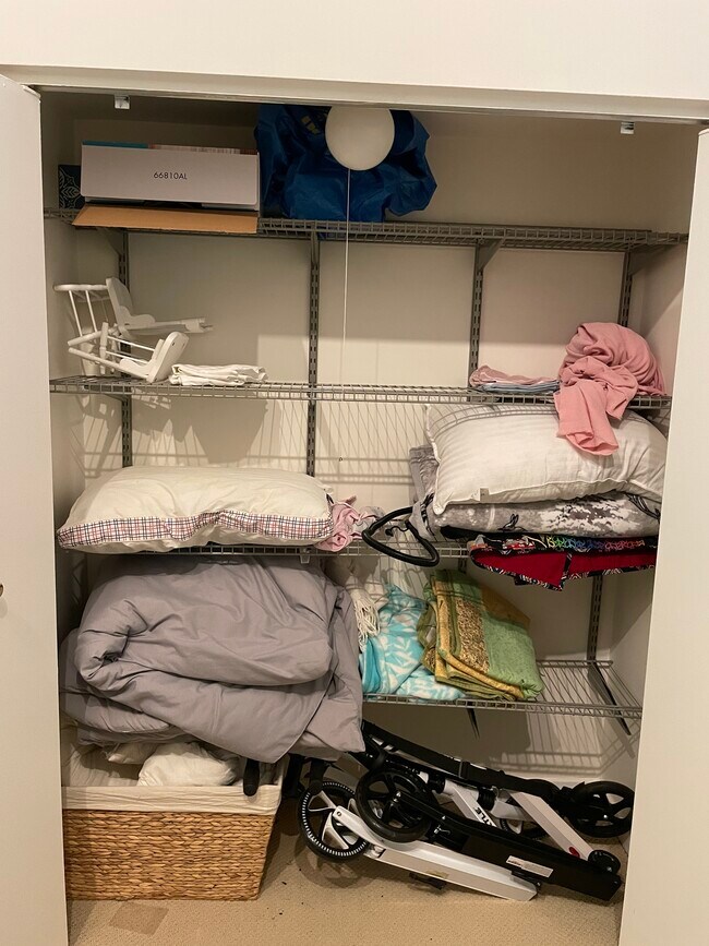 Bedroom 2 Closet - 621 S Plymouth Ct