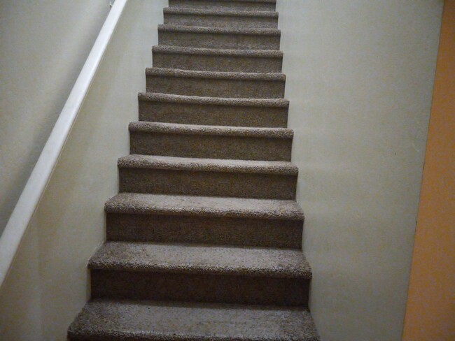 Carpeted Stairs - 600 Hosking Ave