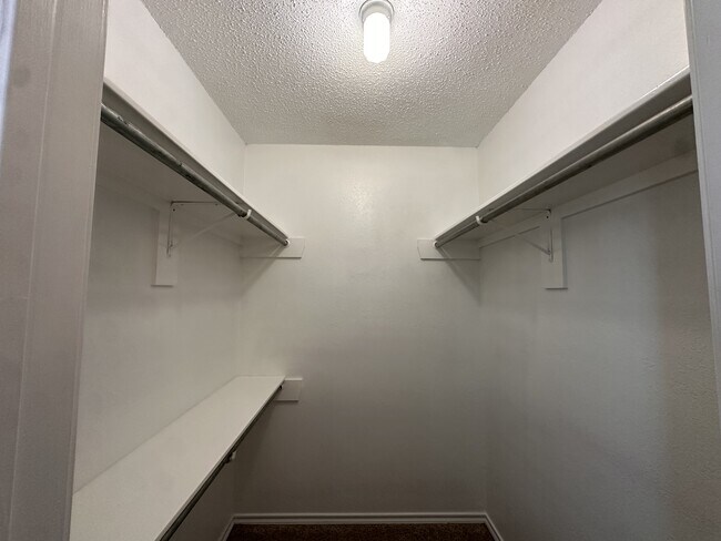 Building Photo - 4203 Savannah Cir