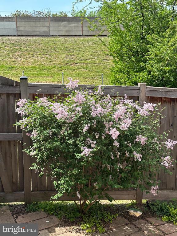 Building Photo - 1533 Oronoco St