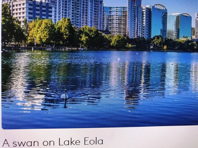 Lake Eola has swan paddleboats and real swans - 109 S Osceola Ave