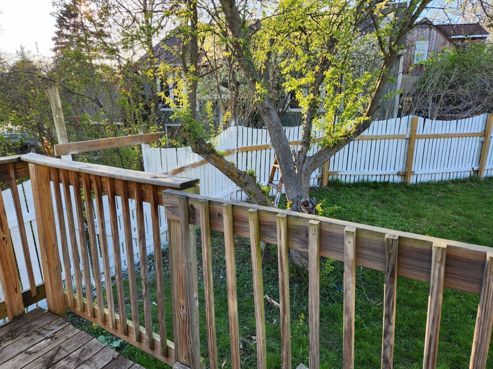 Entry to spacious backyard - 2116 Thaler Ave