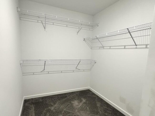 Building Photo - 3816 Briargate Ln