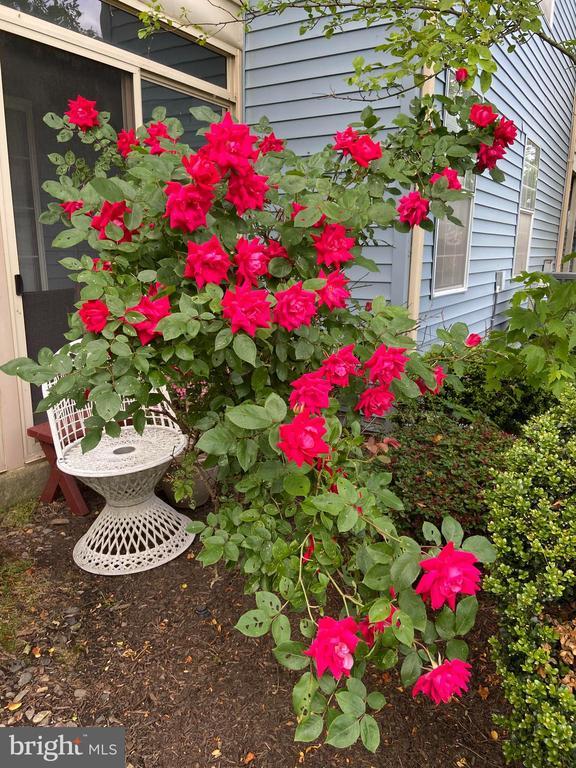 Building Photo - 8 Benjamin Franklin Dr