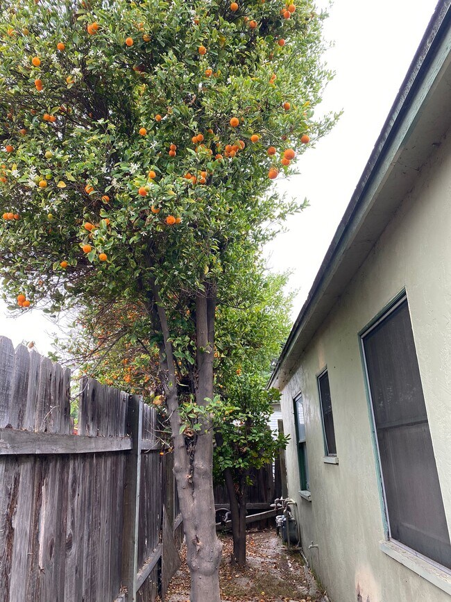 Building Photo - 2735 A Ave