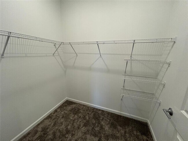 Building Photo - 4341 Curacao Pl