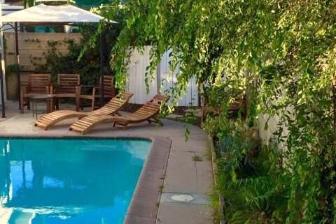 Pool with lounge area - 7307 Anatola Ave