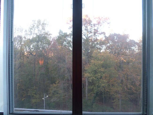 Building Photo - 2939 Van Ness St NW