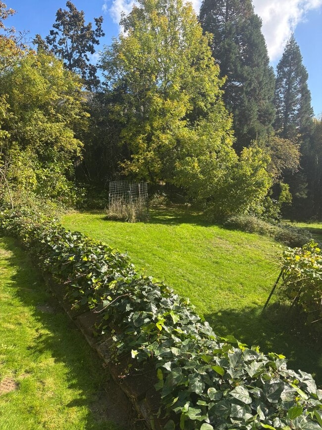 Building Photo - Enjoy 1.125 Acres near Downtown McMinnville