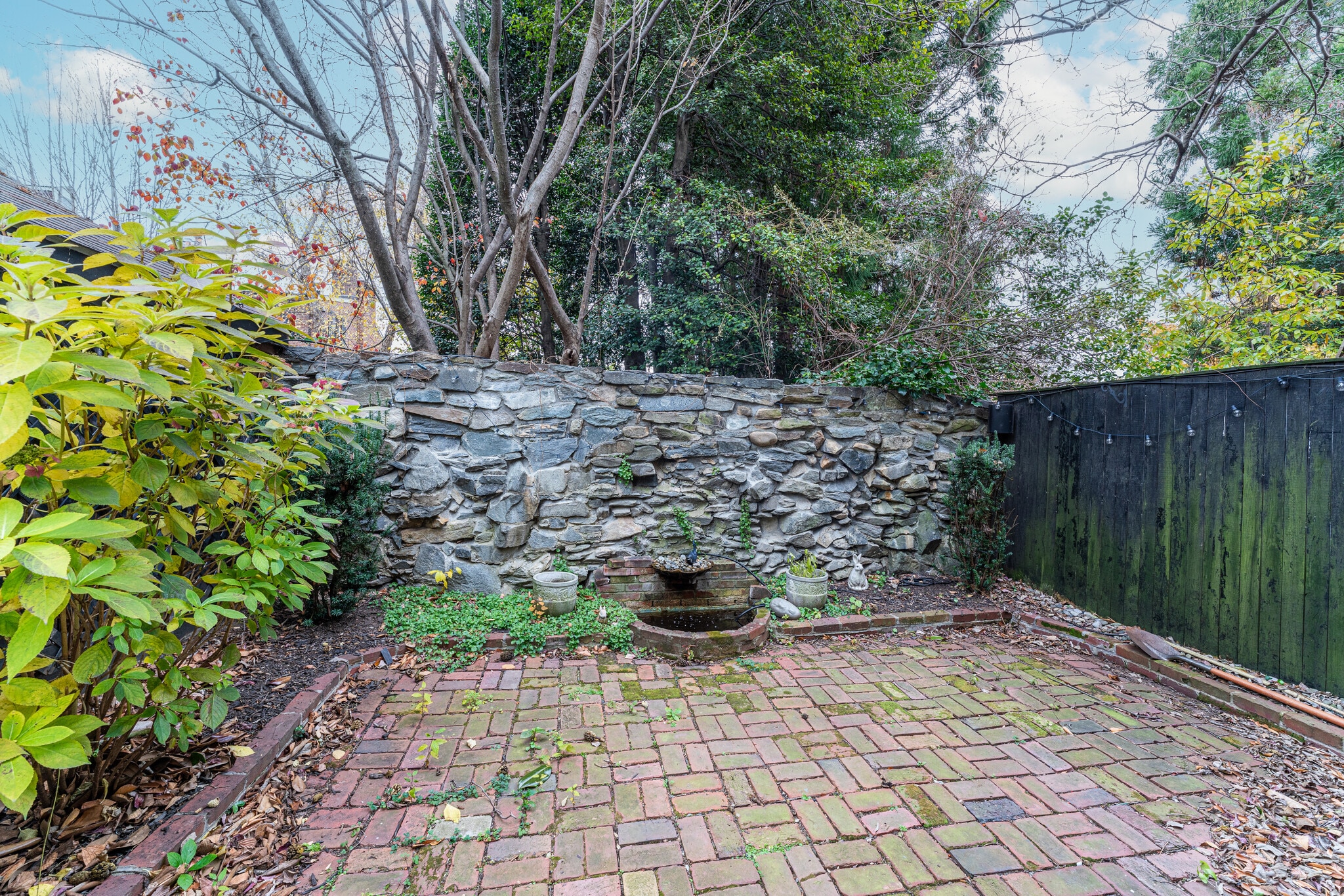Idyllic self-watering fountain! - 1237 29th St NW
