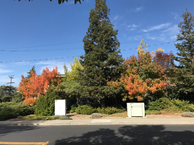 Building Photo - 1054 Dolores St