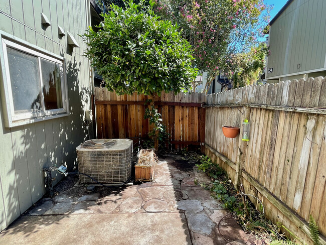 Meyer Lemon tree, Patio garden - 132 Luna Grande Cir