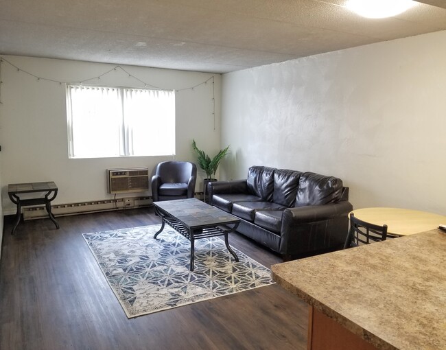 Newly Remodeled Living Area! - 222 W Beaver Ave