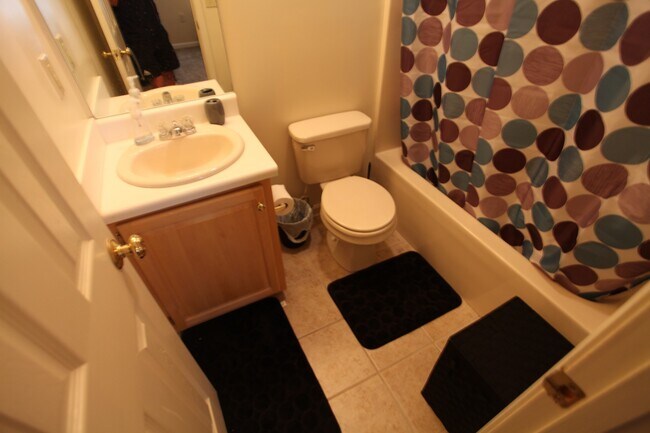 Building Photo - 3B/3B Duplex On Tiger Transit Available August 2026!