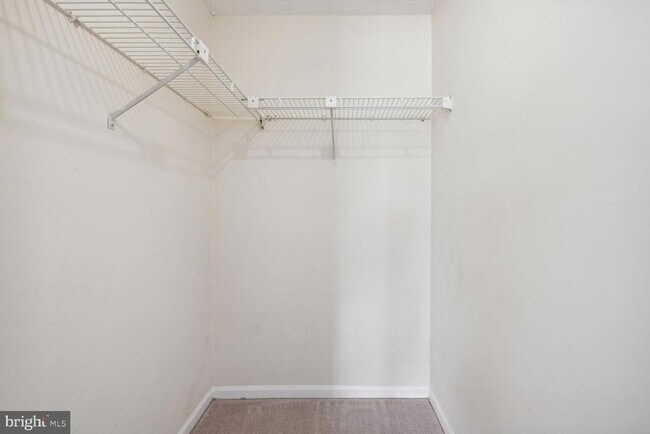 Building Photo - 303 Palmspring Dr