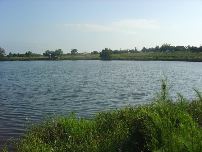 Building Photo - 227 Lake Rachard Blvd