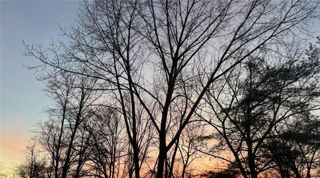 Building Photo - 101 Northrup Ave