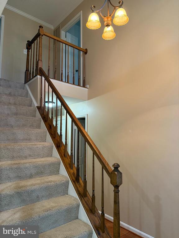 Building Photo - 3869 Appaloosa Dr