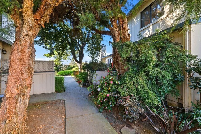Building Photo - 3 Bedroom Condo in Watsonville! $1000 move in incentive!