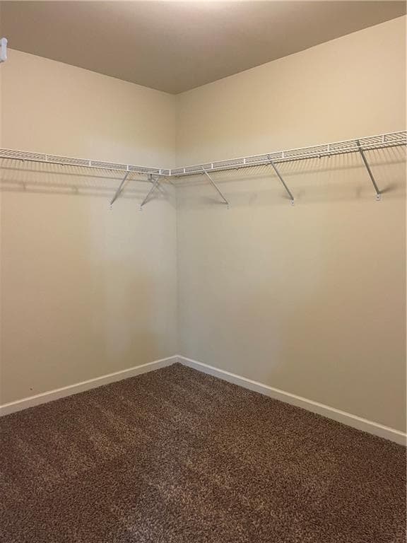 Building Photo - 3512 Castleberry Village Cir
