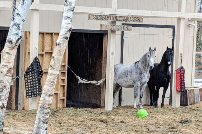 Building Photo - 66 Paquette Dr