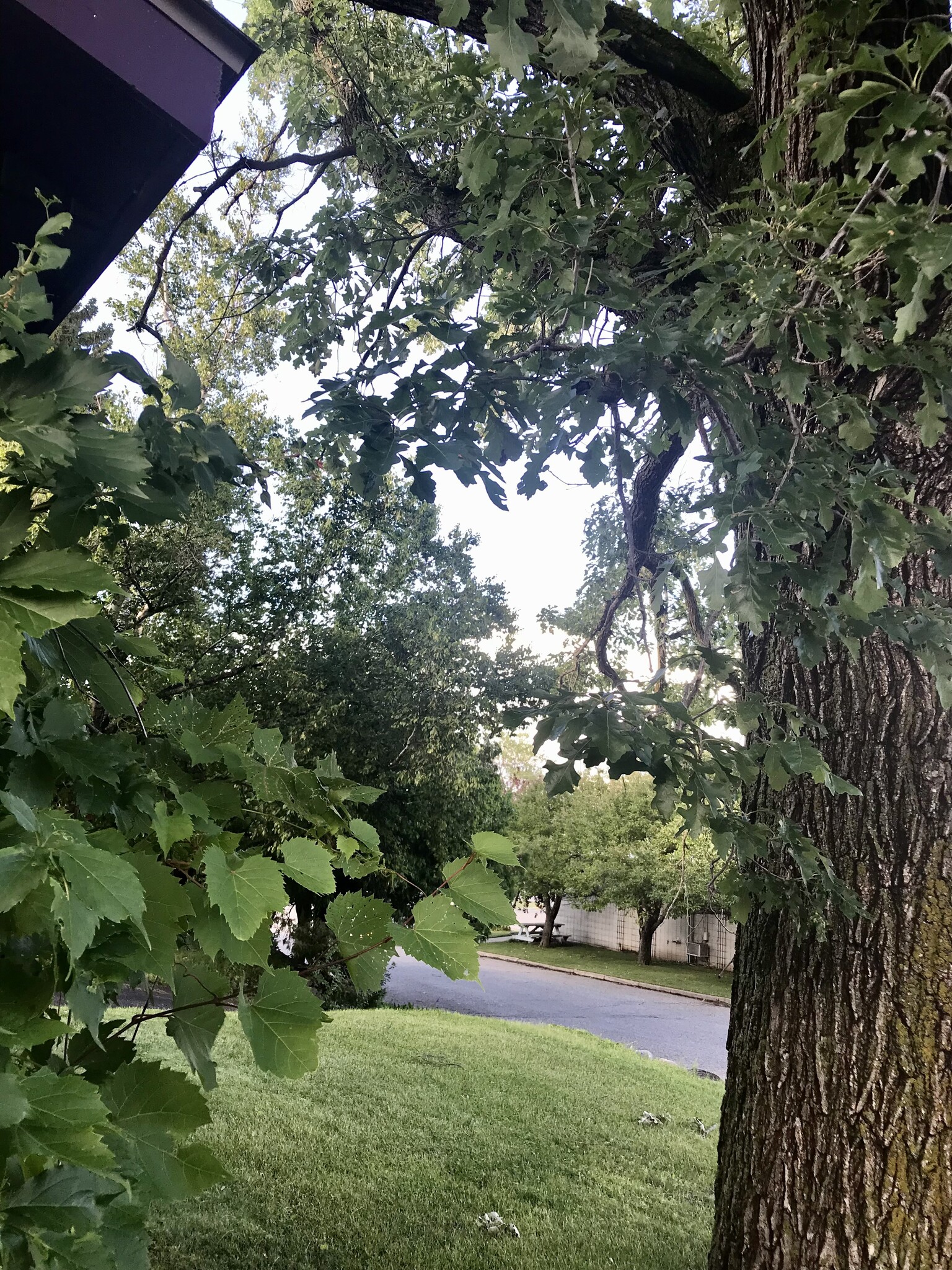 Building Photo - 202 Division St S