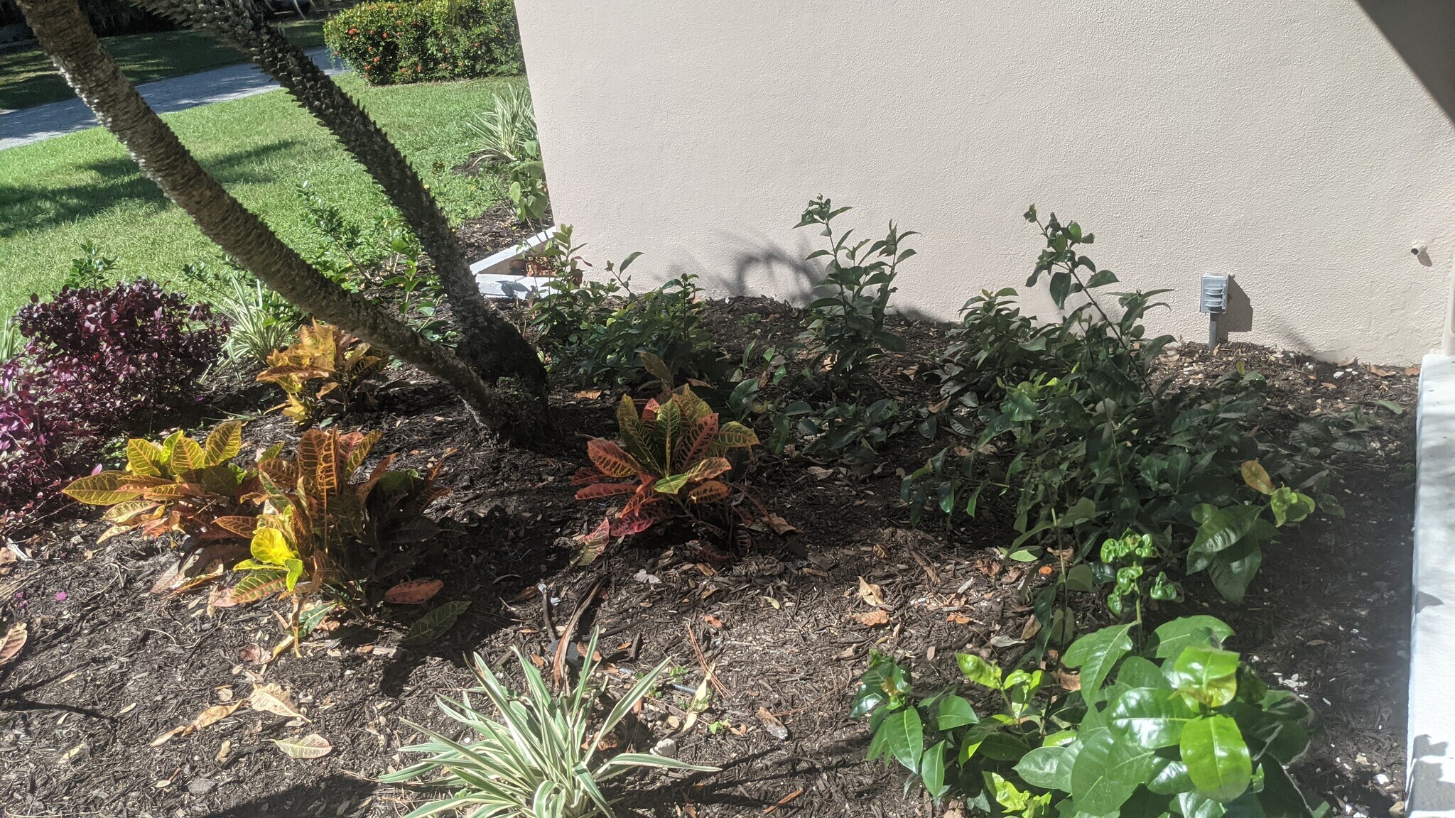 Building Photo - 2042 Harley Ave