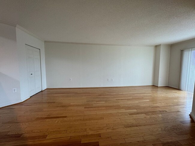 Building Photo - Sun-filled 1 Bed 1 Bath Condo With Private...